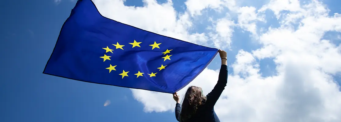 EU election results and French politics