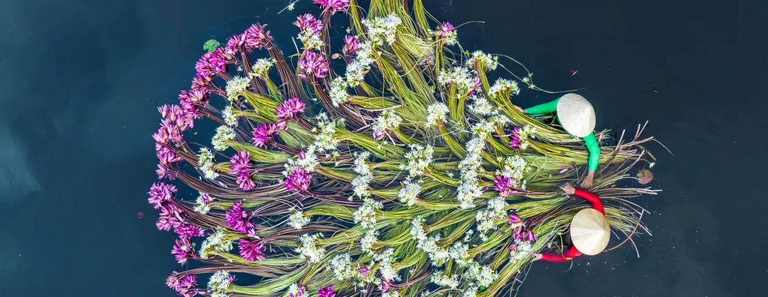 CMA 2025 - Slider longtermrates