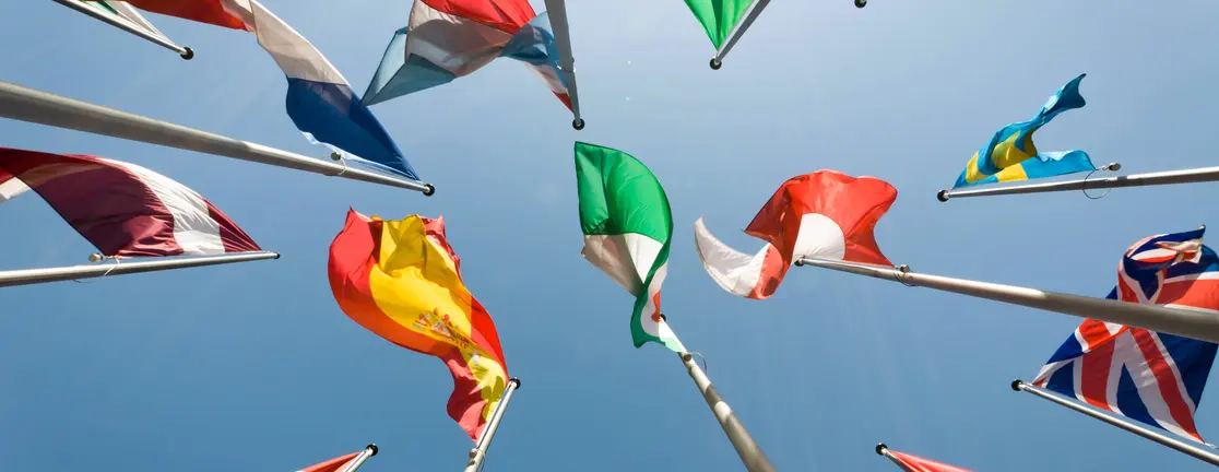 Multipolar world in action