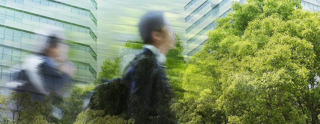 Blended Finance: scaling capital for sustainable impact