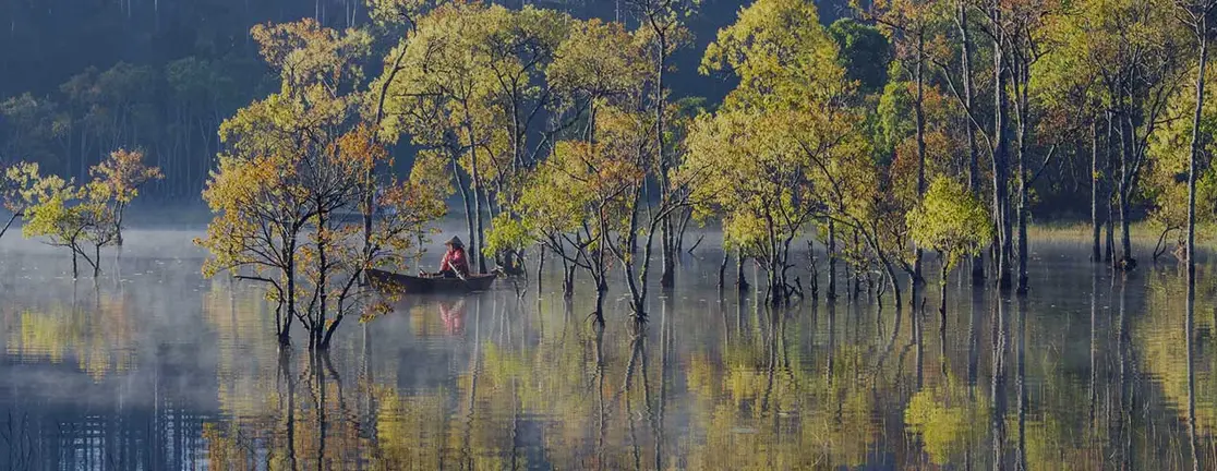 India’s Clean Energy Moment