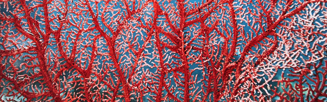 Blue-Paper-Changing-shape-of-EM.jpg