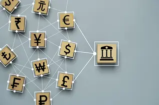 Renminbi’s rise will not challenge dollar dominance