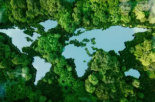 The Market Effect of Acute Biodiversity Risk: the Case of Brazilian Corporate Bonds