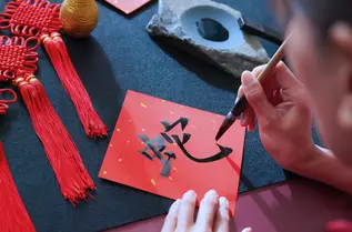 Focus_on_China_Year_of_the_snake