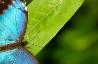 Emerging-Market-Sustainable-Bonds-2026