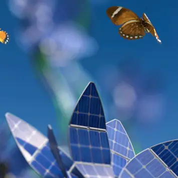 Asset Classes Views: Keeping up with climate change