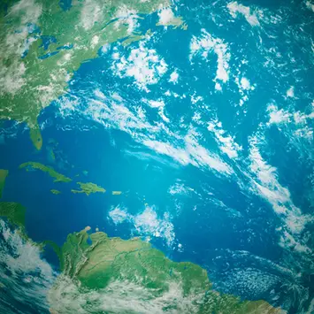 The shift from Carbon Emissions to Net Zero Carbon metrics on Portfolio Construction