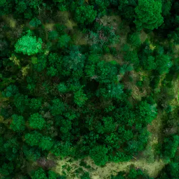 ESG in motion: a dynamic forward-looking approach to detect ESG ‘improvers’