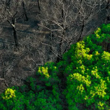 Climate change and social inequality: how does climate change impact on inequality?