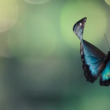The next stage of ESG evolution in the pension landscape