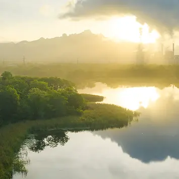 Five questions on the impact of carbon taxes on economies and markets