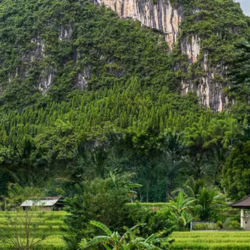 Responsible Investment Views Asia