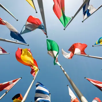 Multipolar world in action