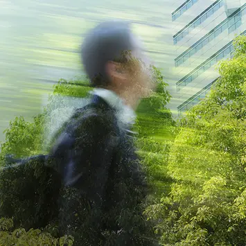 Blended Finance: scaling capital for sustainable impact