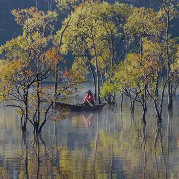 India’s Clean Energy Moment