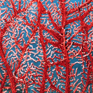Blue-Paper-Changing-shape-of-EM.jpg