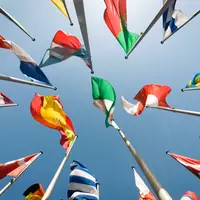 Multipolar world in action