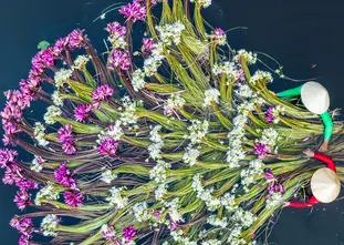 CMA 2025 - Slider longtermrates