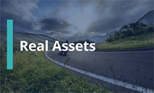 2025 Mid Year Outlook -  Real Assets
