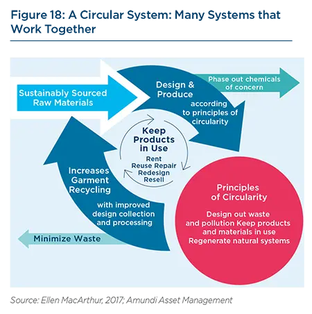 A Circular System: Many Systems that Work Together