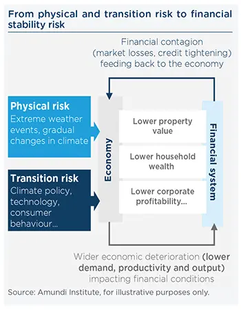 From physical and transition risk to financial stability risk