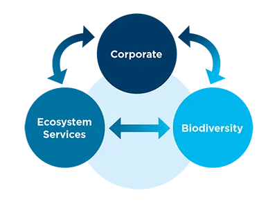 ESG Thema #10 - There is no place like Earth: How investors can address biodiversity loss