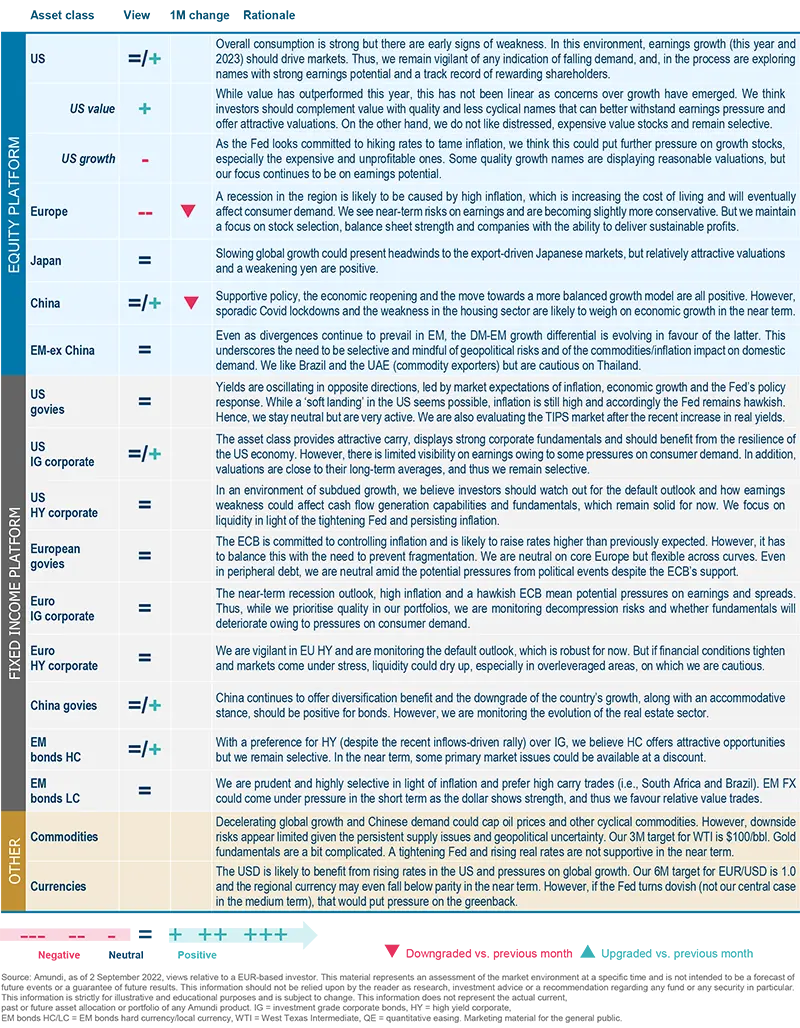 Amundi asset class views