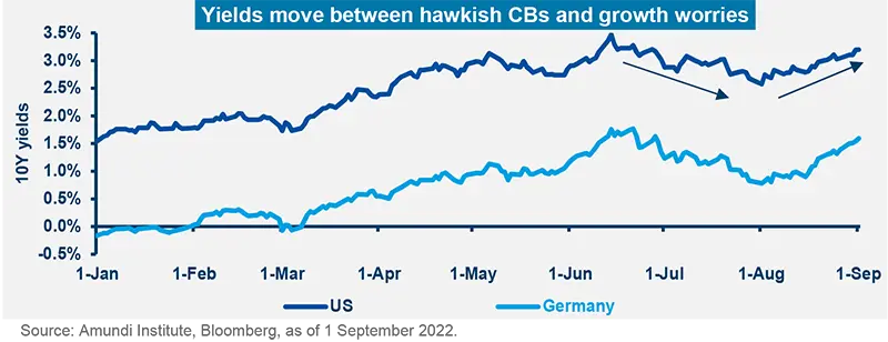 Yields move between hawkish CBs and growth worries