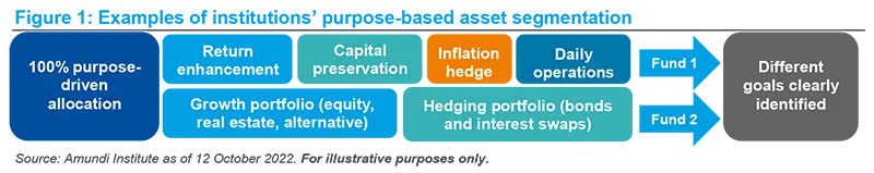 Examples of institutions&#039; purpose-based asset segmentation