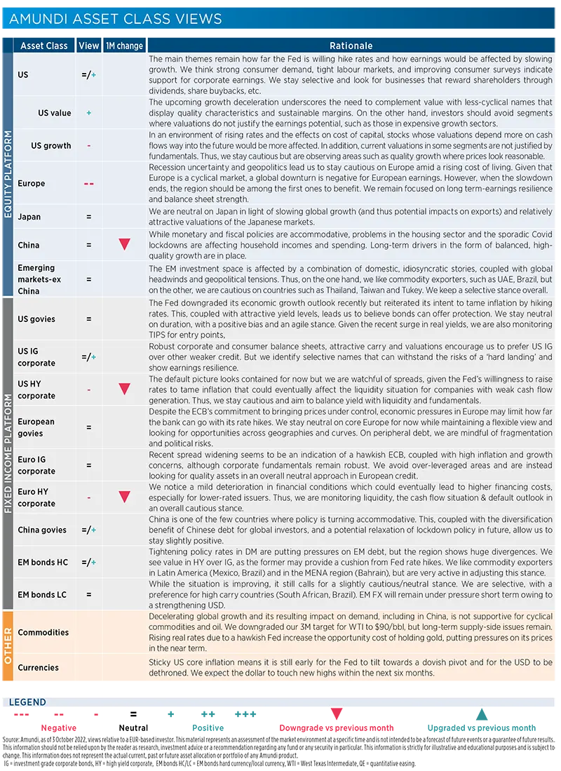 Amundi asset class views