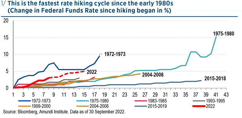 This is the fastest rate hiking cycle since the early 1980s