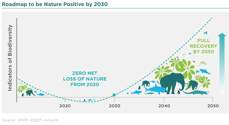 Roadmap to be Nature Positive by 2030