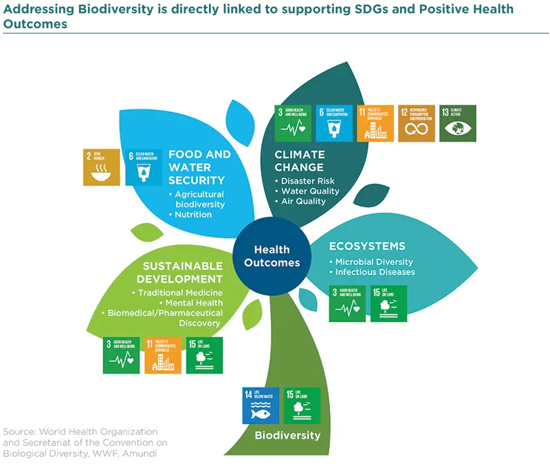 Addressing Biodiversity is directly linked to supporting SDGs and Positive Health Outcomes 