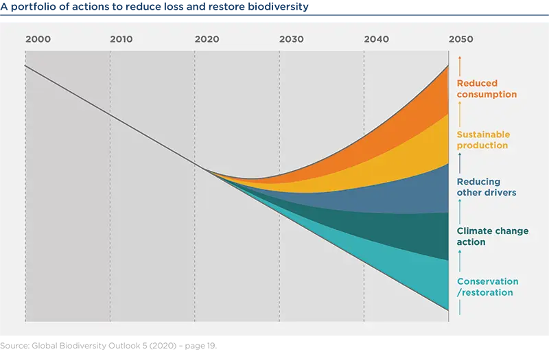 A portfolio of actions to reduce loss and restore biodiversity