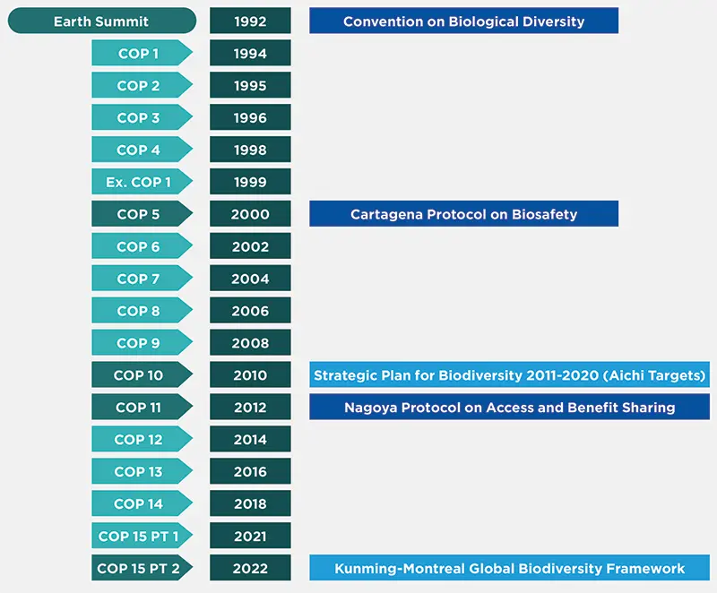 ESG Thema – Special COP15 – The Paris moment for biodiversity?