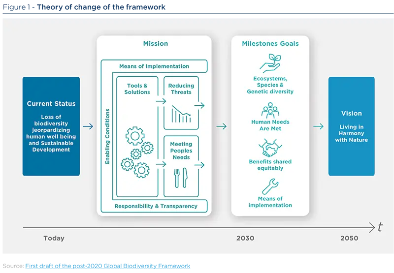 Theory of change of the framework