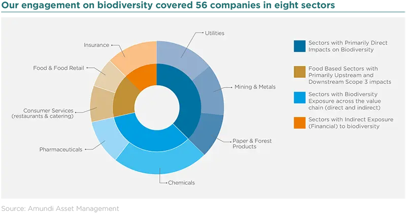 Our engagement on biodiversity covered 56 companies in eight sectors