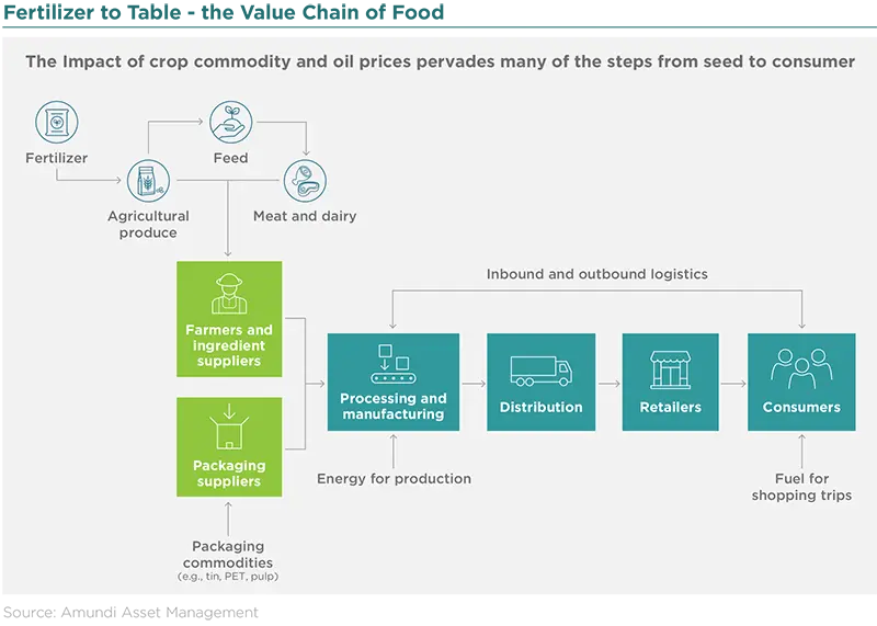 Fertilizer to Table - the Value Chain of Food