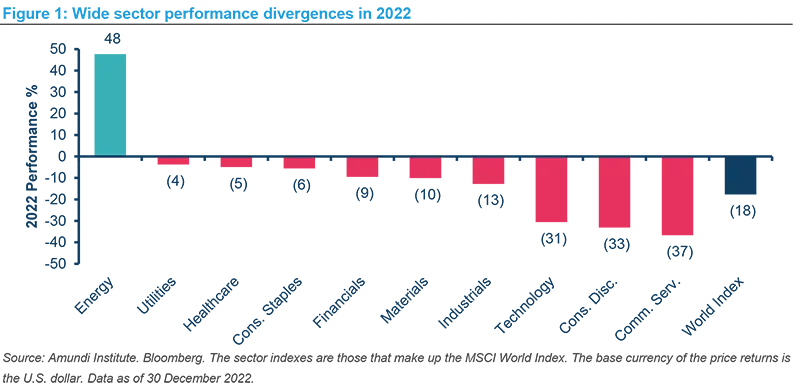 Wide sector performance divergences in 2022