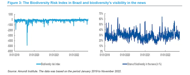 The Biodiversity Risk Index in Brazil and biodiversity&#039;s visibility in the news