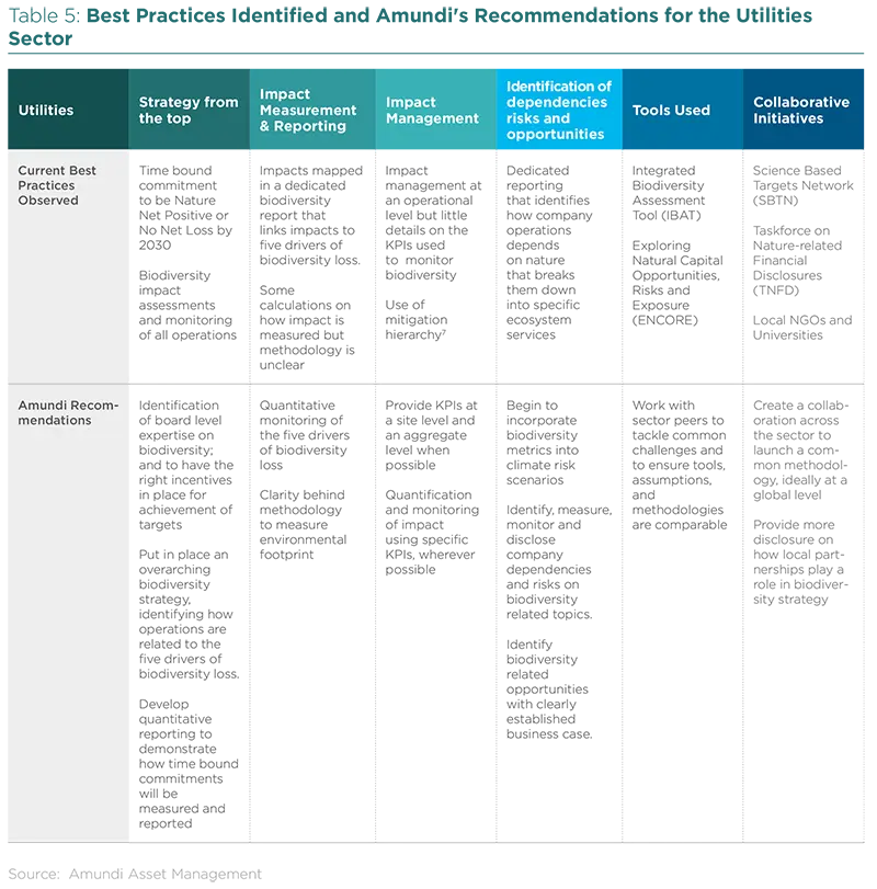 Best Practices Identified and Amundi&#039;s Recommendations for the Utilities Sector