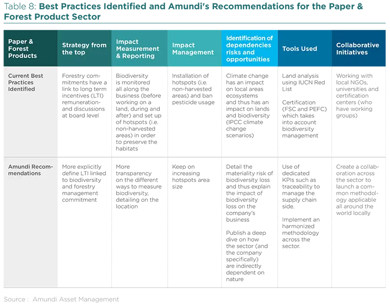 Best Practices Identified and Amundi&#039;s Recommendations for the Paper &amp; Forest Product Sector