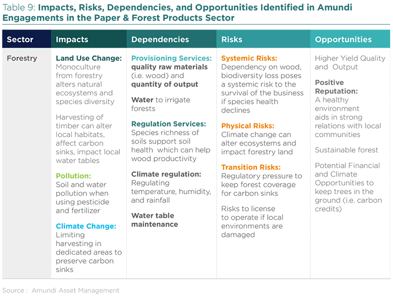 Impacts, Risks, Dependencies, and Opportunities identified in Amundi Engagements in the Paper &amp; Forest Products Sector