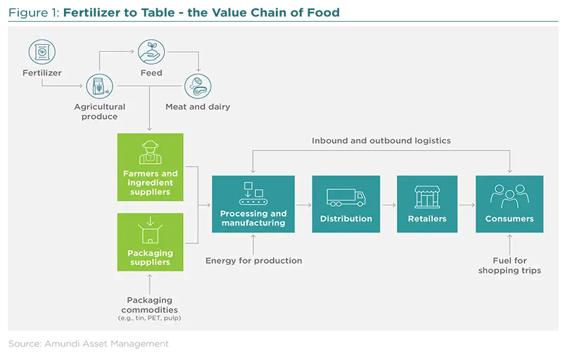 Fertilizer to Table - the Value Chain of Food