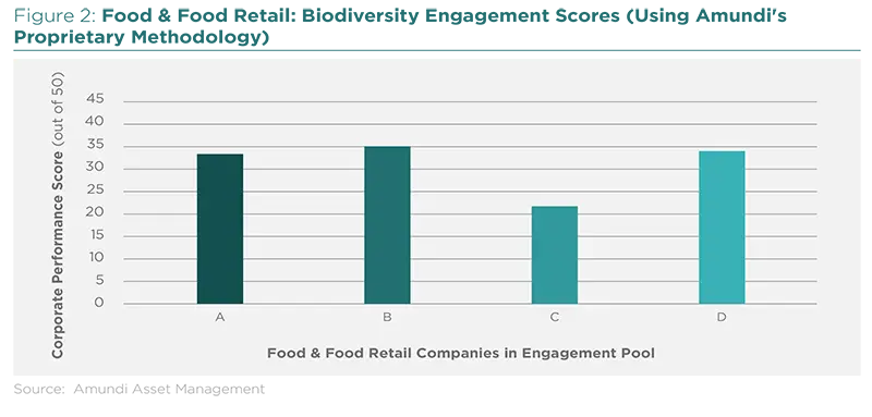 Food &amp; Food Retail: Biodiversity Engagement Scores