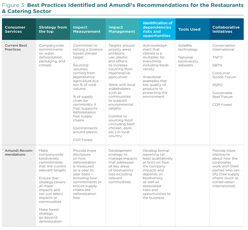 Best Practices Identified and Amundi&#039;s Recommendations for the Restaurants &amp; Catering Sector