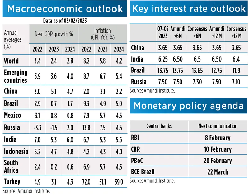 Macroeconomic Picture - February 2023