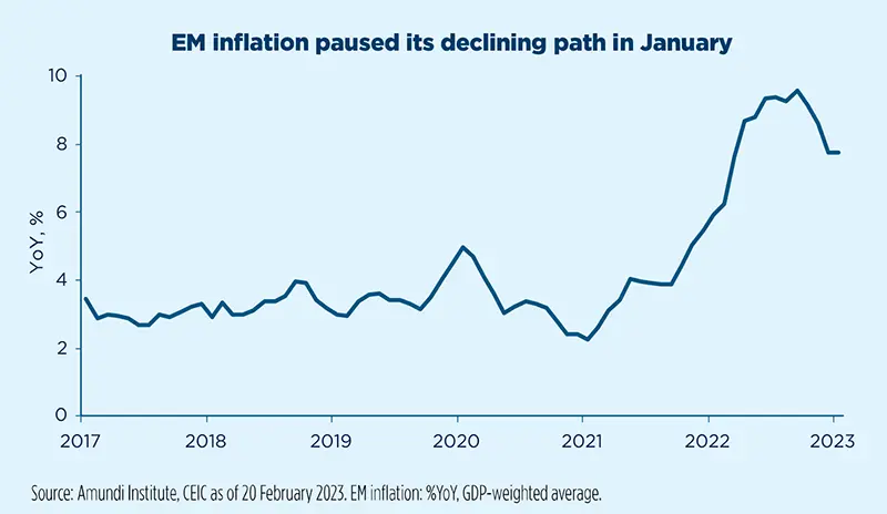 EM inflation paused its declining path in January
