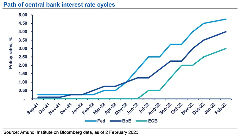 Path of central bank interest rate cycles